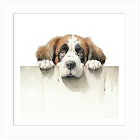 St Bernard Dog 7 Art Print