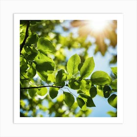 Sun Shining Through Green Leaves 1 Art Print