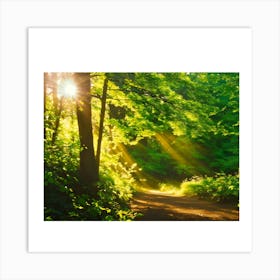 Sunbeams In The Forest 1 Art Print