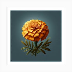 Carnation 1 Art Print