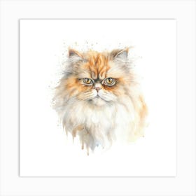 Persian Himalayan Cat Portrait 3 Art Print