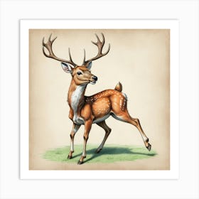 Deer! 32 Art Print