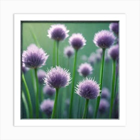 Chives 7 Art Print