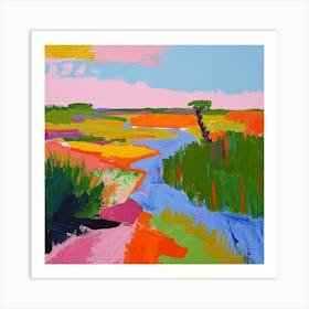 Colourful Abstract Everglades National Park Usa 4 Art Print