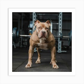 Bulldog In The Gym Art Print