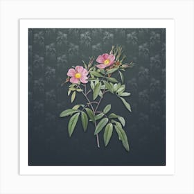 Vintage Pink Swamp Roses Botanical on Slate Gray Pattern n.1445 Art Print