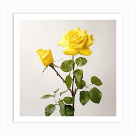 Yellow Roses Art Print