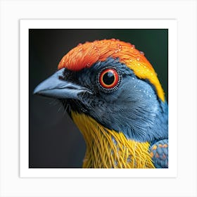 Colorful Bird 10 Art Print