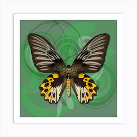 Mechanical Butterfly The Rippon S Birdwing Techno Troides Hypolitus On A Green Background Art Print