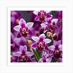 Purple Orchids 2 Art Print