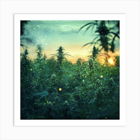 Sunset In A Cannabis Field Affiche