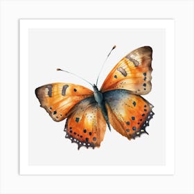 Orange Butterfly Art Print