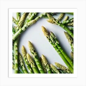 Asparagus In A Circle Art Print