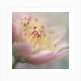 A Close Up Of A Delicate Bird Bud Just Beginning To Bloom, With Soft Petals And Hints Of Vibrant Col (4) Art Print