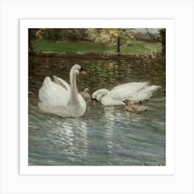 Swan 16 1 Art Print