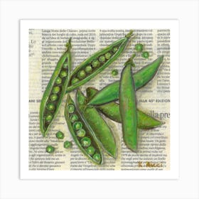 Peas Vegetables On Newspaper Green Kitchen Rustic Farmhouse Wall Decor Art Print