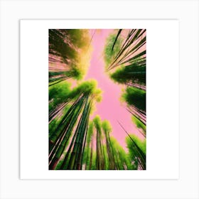 Bamboo Forest Art Print