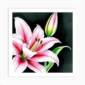 Pink Lily 11 Art Print