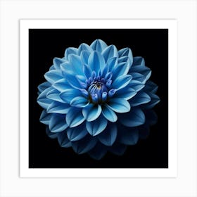 Blue Dahlia 2 Art Print