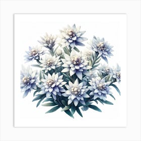 Flowers of Edelweiss 1 Art Print