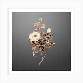 Gold Botanical Ventenat's Rose on Soft Gray n.1338 Art Print