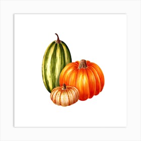 Pumpkins Isolated On White Art Print