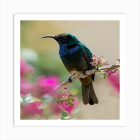 Hummingbird 4 Art Print