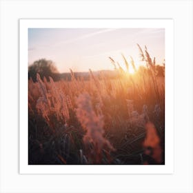 Sunset In A Field Art Print