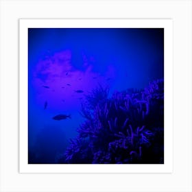 Blue Coral Reef Art Print