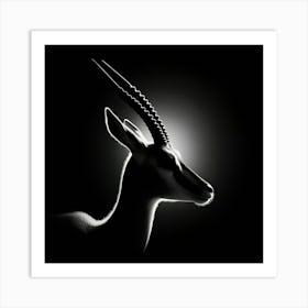 Antelope 1 Art Print