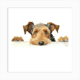 Welsh Terrier Dog Art Print