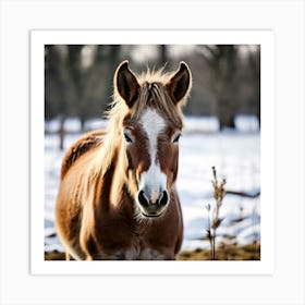 Horse Animal Grass Breeding Head Pasture Donkey Standing Farm Cute White Background Natu (1) 2 Art Print
