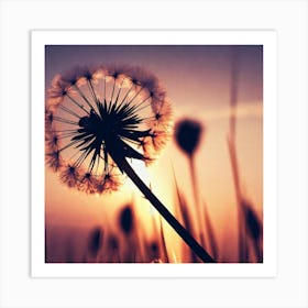 Sunset Dandelion Art Print