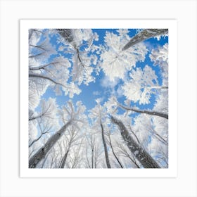 Frosty Forest 1 Art Print