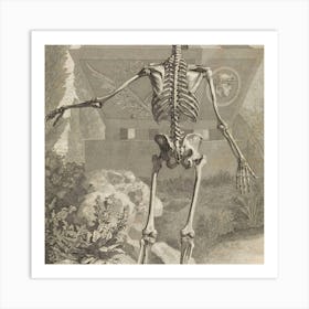 Skeleton Of A Man Art Print