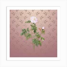 Vintage Pink Rosebush Botanical on Dusty Pink Pattern n.0303 Art Print