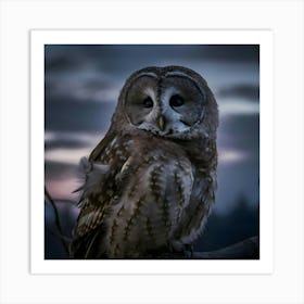 Barn Owl Art Print