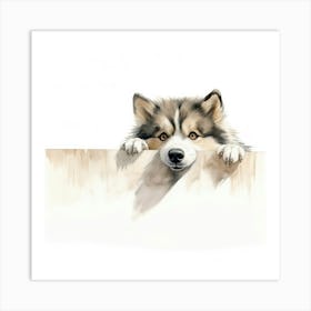 Husky Dog 4 Art Print