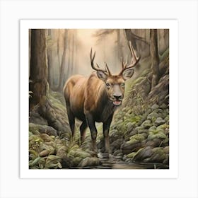 Elk In The Woods Art Print