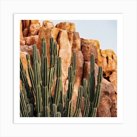 Desert Canyon Cactus Art Print