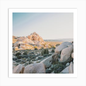 Desert Boulder Field Art Print