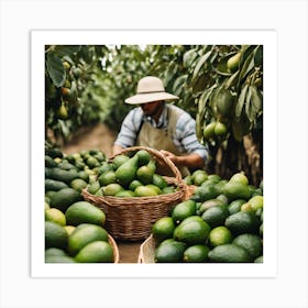 Farmer Picking Fresh Avocados Art Print