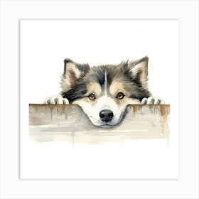 Husky Dog 3 Art Print