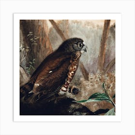 Hawk Owl Art Print