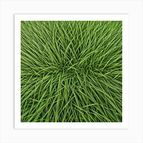 Grass Background 4 Art Print