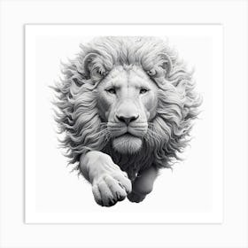 Lion On White Background Art Print