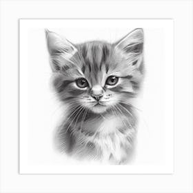 Kitten's Serenity Art Print