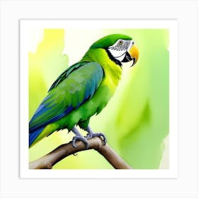 Parrot Art Art Print