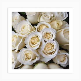 White Roses Art Print