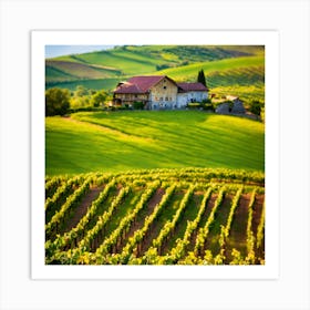 Vineyards In Tuscany 1 Art Print